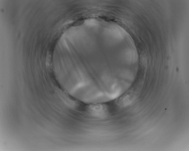 X0000076310181200610271948