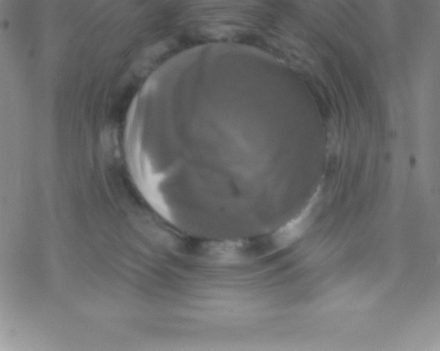 X0000076310182200610271948