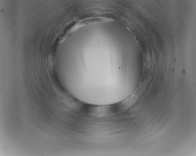 X0000076310184200610271948