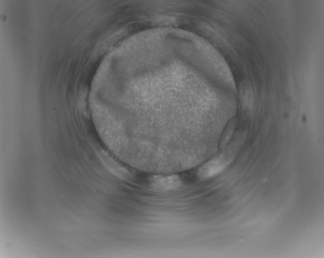 X0000076310185200610271948