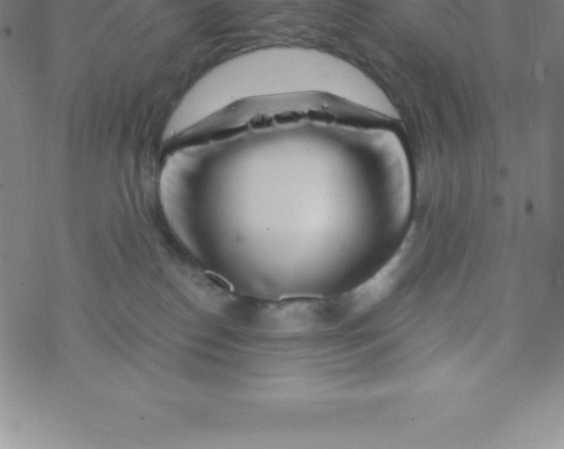 X0000076310186200610271948