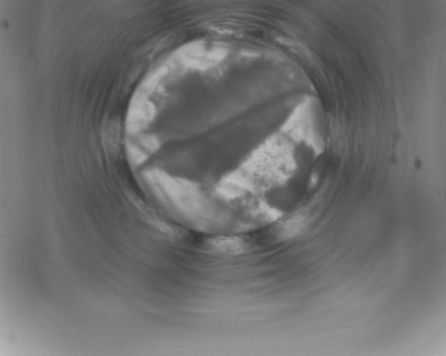 X0000076310189200610271948