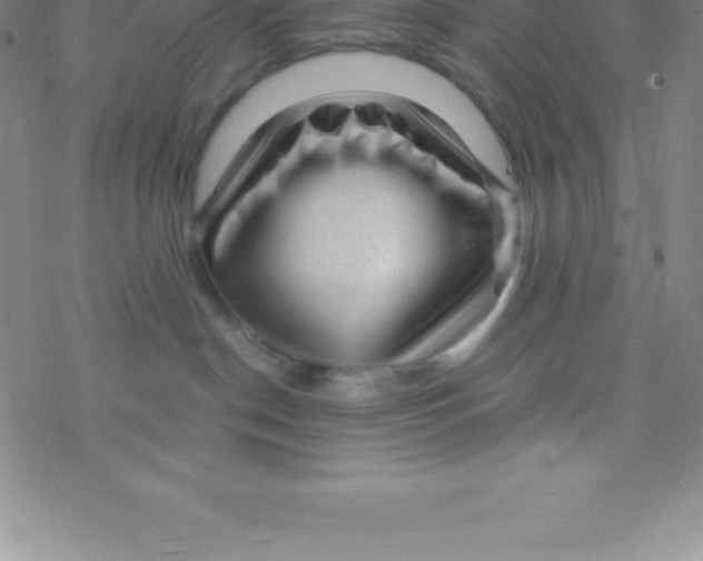 X0000076310190200610271948