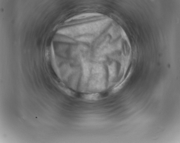 X0000076310191200610271948