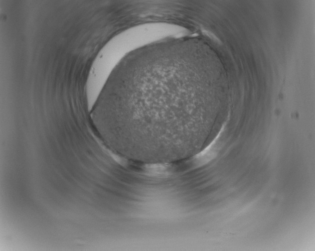 X0000076310192200610271948