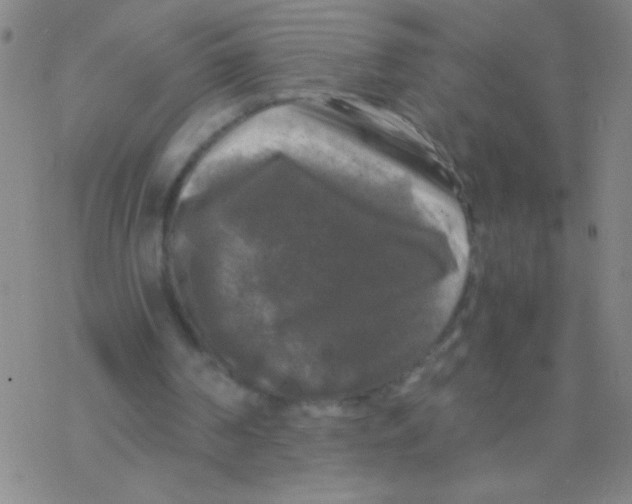 X0000076310194200610271948