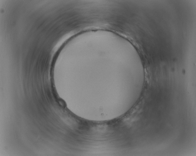 X0000076310196200610271948