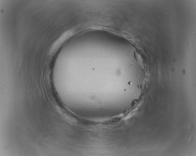 X0000076310197200610271948