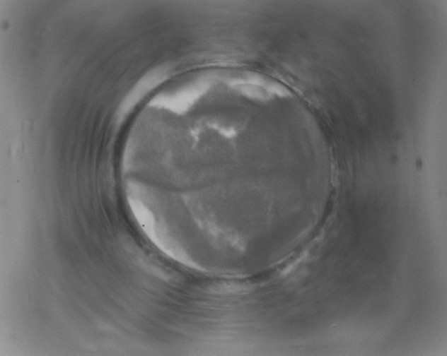 X0000076310198200610271947