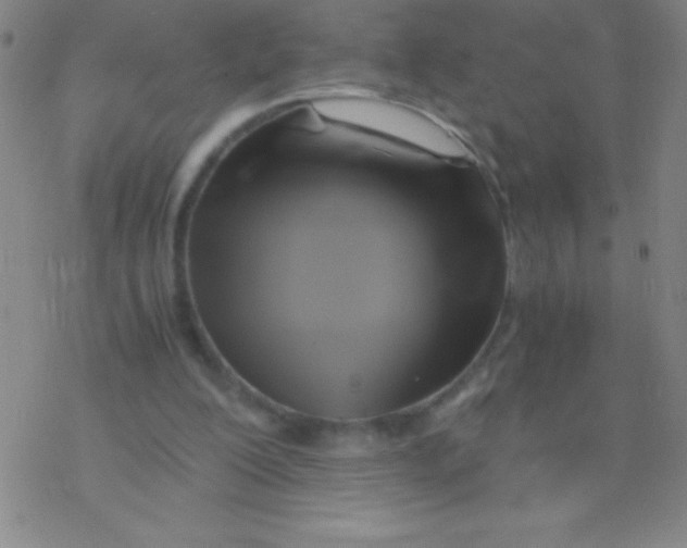 X0000076310200200610271947