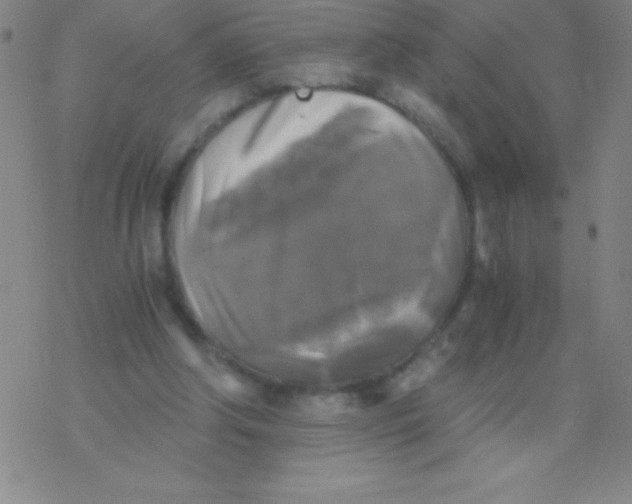 X0000076310202200610271947