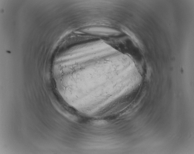 X0000076310203200610271947