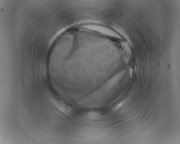 X0000076310204200610271947