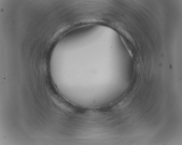 X0000076310207200610271947