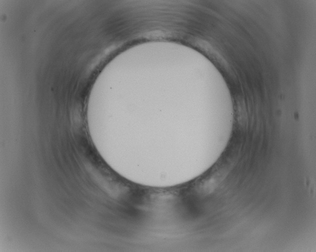 X0000076310208200610271947