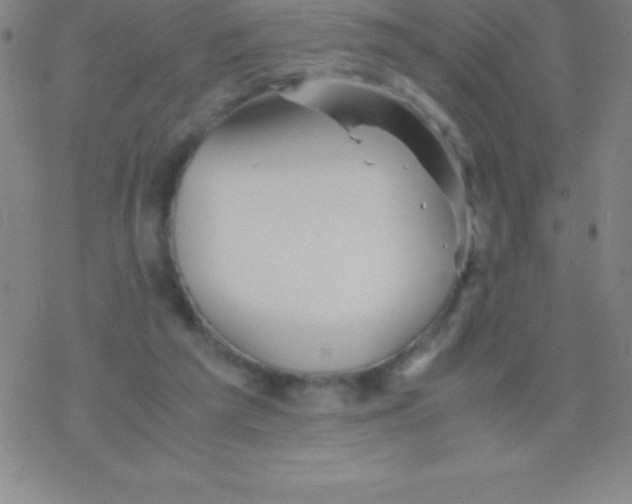 X0000076310209200610271947