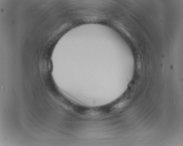 X0000076310211200610271947