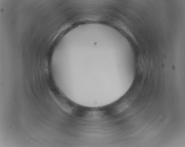 X0000076310212200610271947