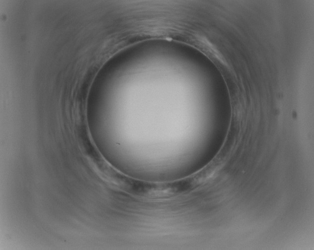 X0000076310213200610271947