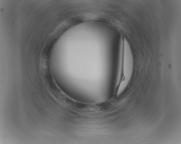 X0000076310215200610271947