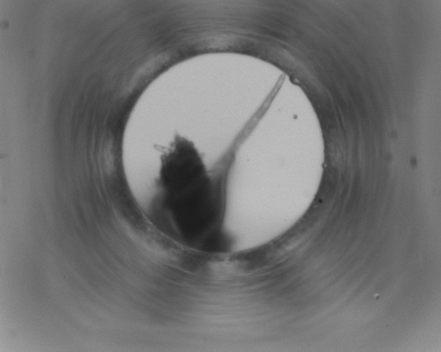 X0000076310216200610271947