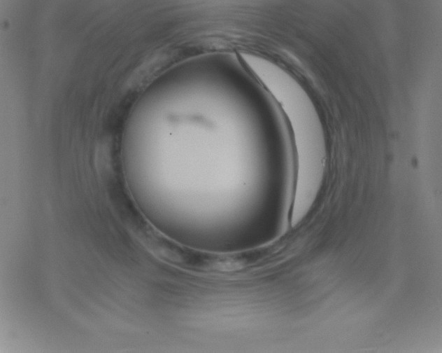 X0000076310217200610271947