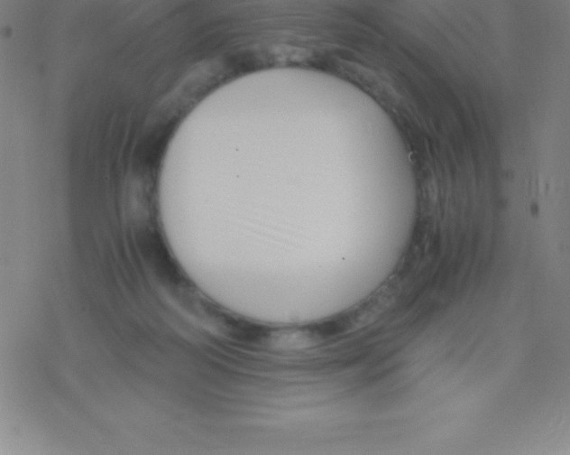 X0000076310218200610271947