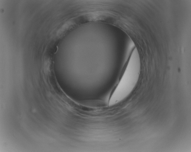 X0000076310219200610271947