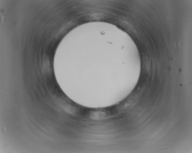 X0000076310220200610271947