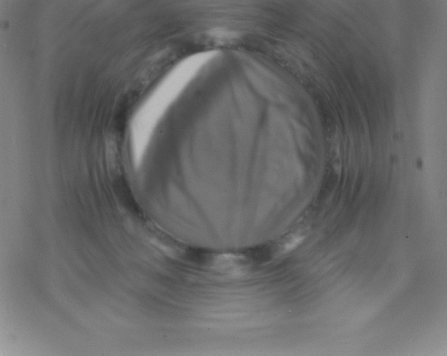 X0000076310222200610271947