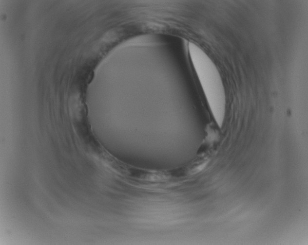 X0000076310223200610271947