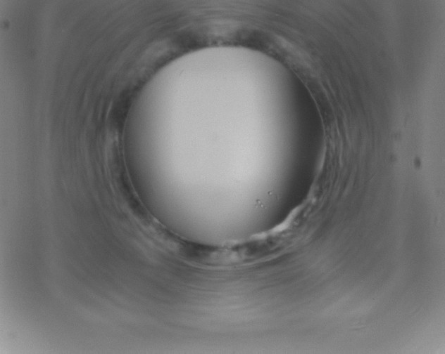 X0000076310225200610271947