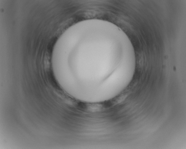 X0000076310226200610271947