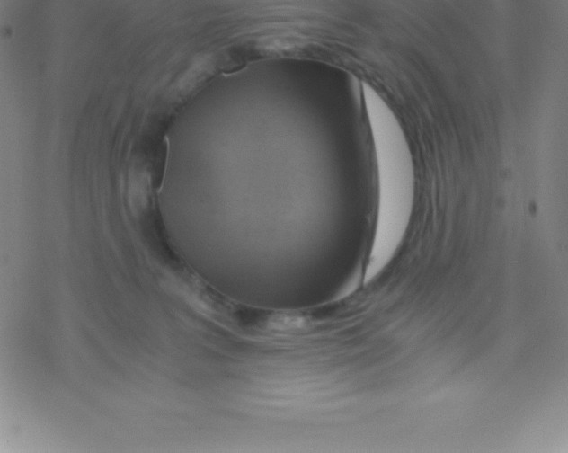 X0000076310227200610271947