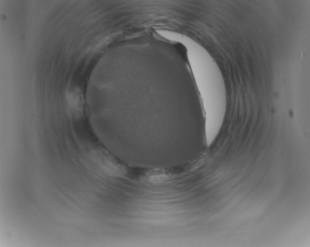 X0000076310228200610271947