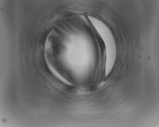 X0000076310229200610271947