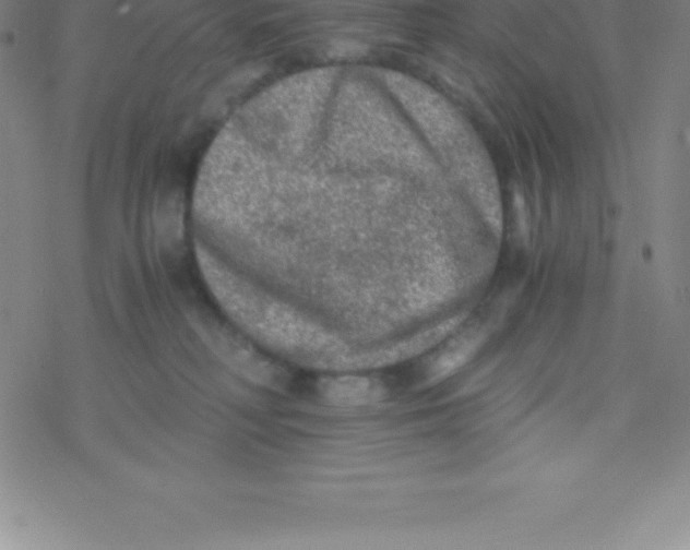 X0000076310230200610271947