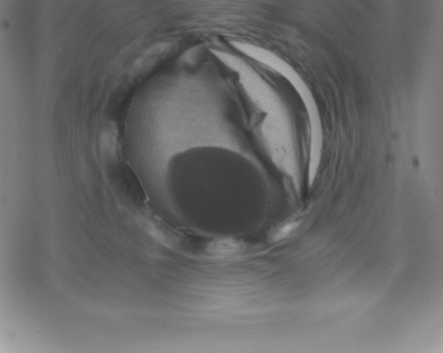 X0000076310231200610271947