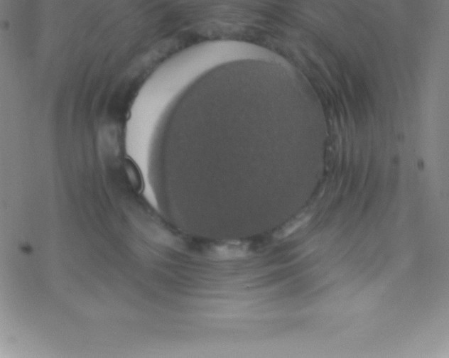 X0000076310232200610271947