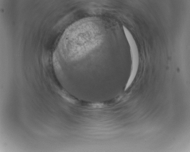 X0000076310233200610271947