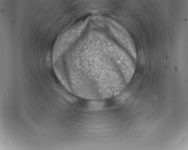 X0000076310234200610271947