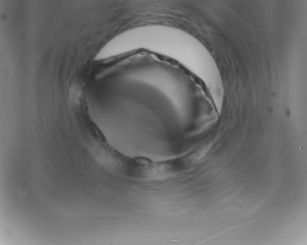 X0000076310235200610271947