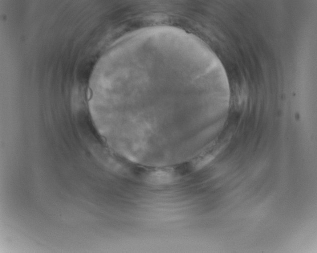 X0000076310236200610271947