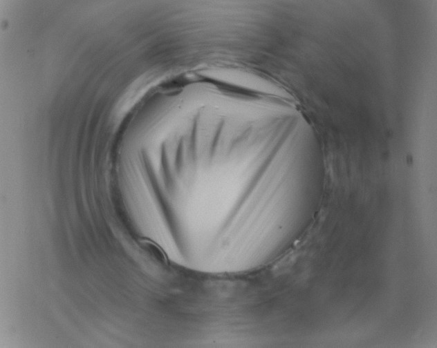 X0000076310242200610271946