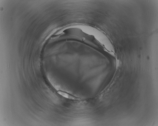 X0000076310243200610271946