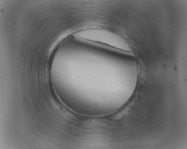 X0000076310244200610271946