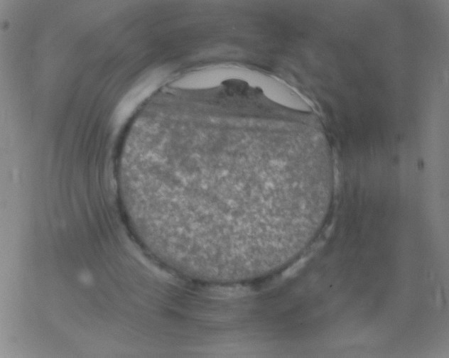 X0000076310245200610271946