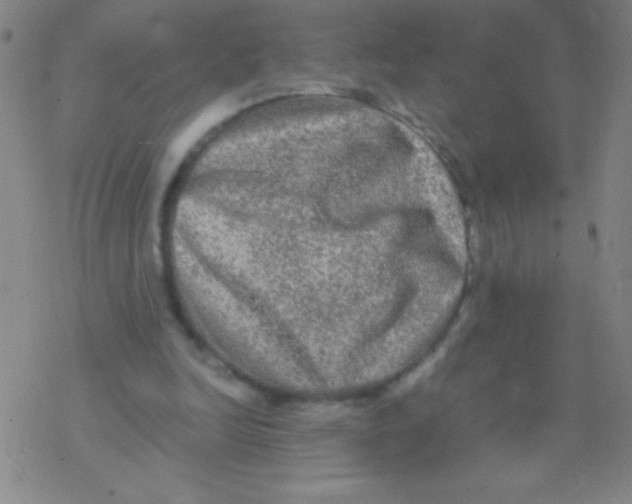 X0000076310246200610271946