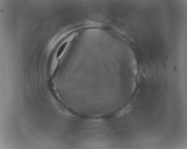 X0000076310247200610271946