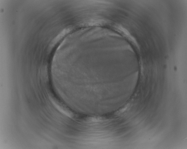 X0000076310250200610271946